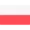 bandera-poland-256